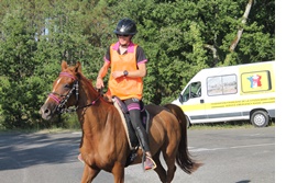 Phot d'un jockey sur son cheval lors de l’endurance équestre à Vaissac les 23 et 24 juillet 2022, sous forte chaleur.