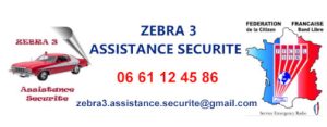 logo ZEBRA 3