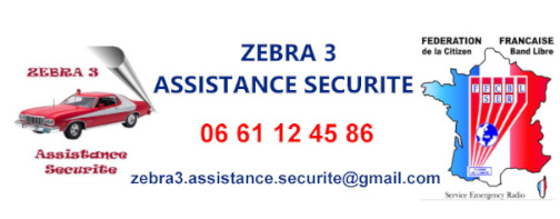 logo ZEBRA 3