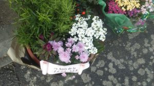Fleurs des funérailles de Manu 34.