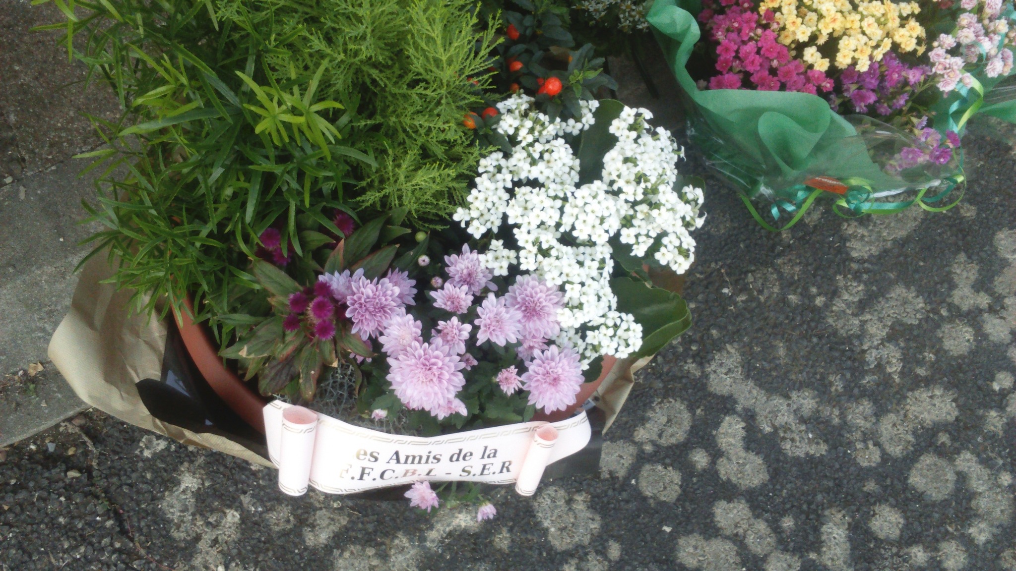 Fleurs des funérailles de Manu 34.