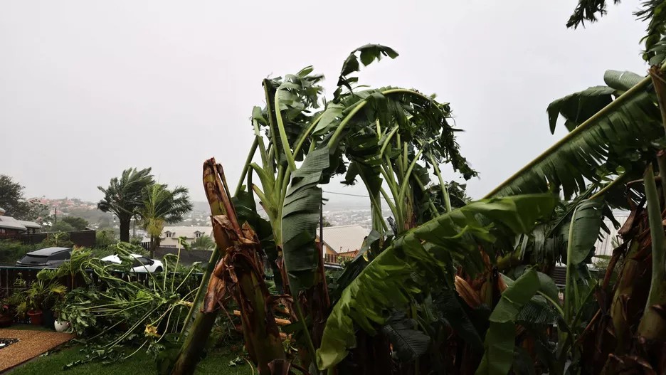 Végétation balayée par des vents violents, illustration de l’impact du cyclone Belal sur l’île de La Réunion.